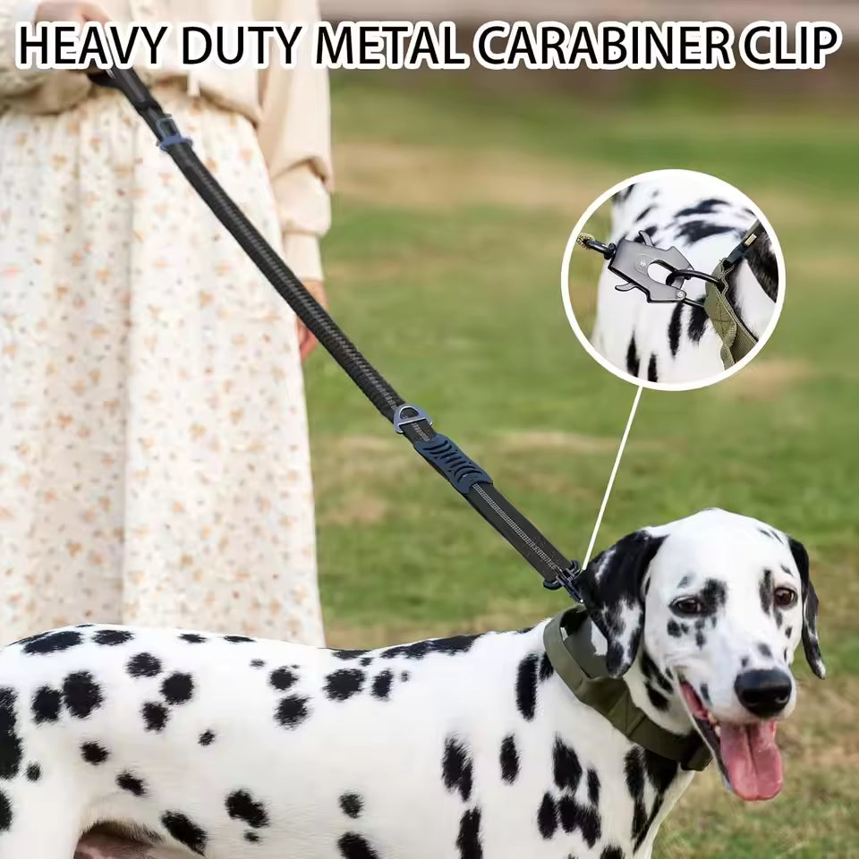 PawVault Pro Leash — No Tangle, No Snap, No Compromise