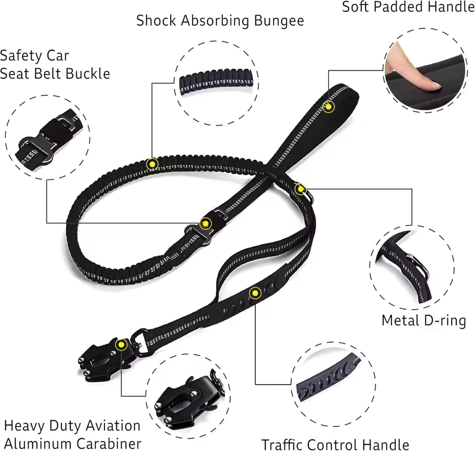 PawVault Pro Leash — No Tangle, No Snap, No Compromise
