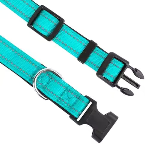 PawVault Pro Collar — Built to Last Every Walk, Hike & Adventure