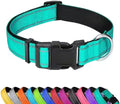 PawVault Pro Collar — Built to Last Every Walk, Hike & Adventure