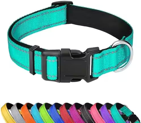 PawVault Pro Collar — Built to Last Every Walk, Hike & Adventure