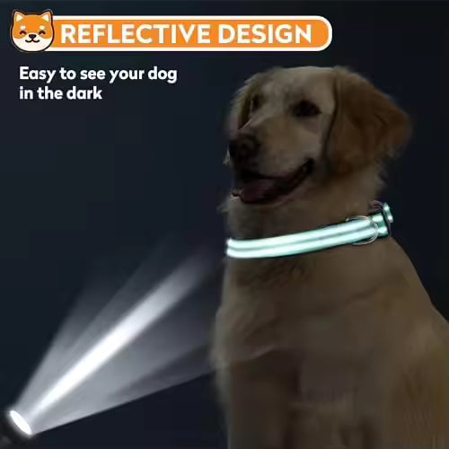 PawVault Pro Collar — Built to Last Every Walk, Hike & Adventure
