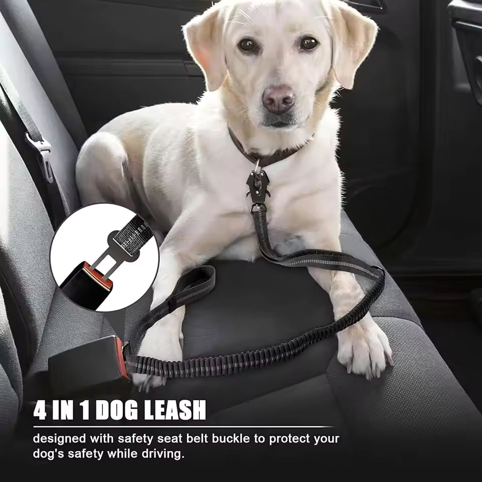 PawVault Pro Leash — No Tangle, No Snap, No Compromise