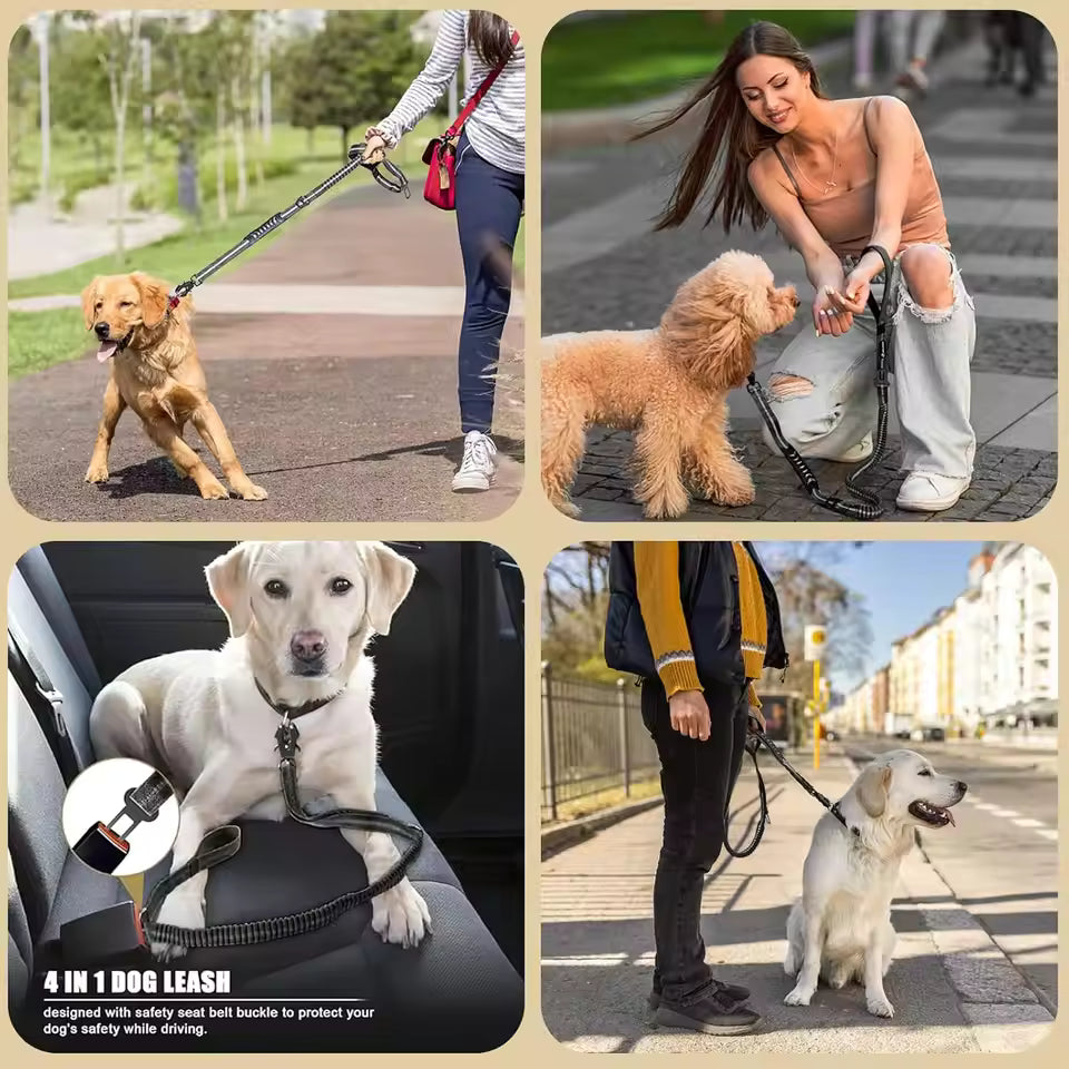 PawVault Pro Leash — No Tangle, No Snap, No Compromise