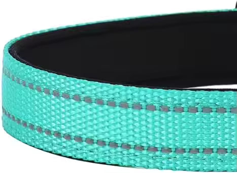 PawVault Pro Collar — Built to Last Every Walk, Hike & Adventure
